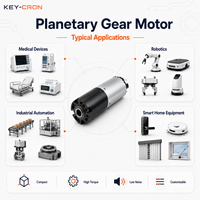 Motor DC Planetary 24mm 576:1 12V 24V Rendah Kebisingan dengan Sikat untuk Instrumen Kosmetik dan Peralatan Rumah Tangga