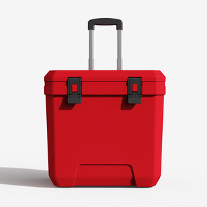 Frigo Portatile da Campeggio 24QT in PE Isolato, Contenitore Termico per Pesce, Frigorifero con Ruote, Borsa Termica per Auto - Product Image 4