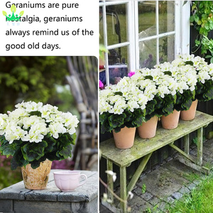 Géraniums Artificiels Fleurs De Soie Blanc Bush Fleurs Géraniums Branche pour Jardin Patio Grave Vase Table Centre De Table Décor Intérieur - Product Image 5
