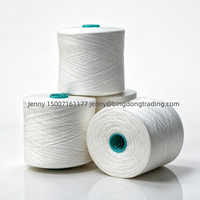 Fil de polyester vierge 100% certifié OEKO-TEX Bingdong, haute ténacité, écologique, pour la couture, nombre de fils personnalisable