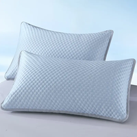Nouvelle taie d'oreiller Cool Ice Bean sans noyau, housse de coussin de chambre climatisée d'été d'automne, lavable en Machine