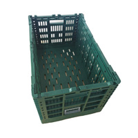 Caisses en plastique de qualité alimentaire, caisse en plastique pour le transport de poulets de chair
