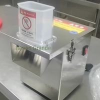 110V 220V Grote Multifunctionele In Blokjes Gesneden Versnippering Roestvrijstalen Fruitgroenteverwerking Snijmachine