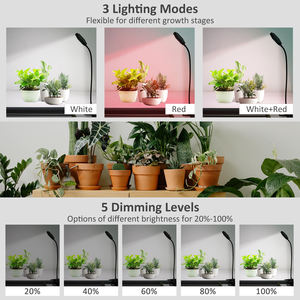 La puce LED Cob réglable professionnelle BSEAH élève le spectre lumineux et la minuterie pour toutes les étapes de croissance des tomates <span class=keywords><strong>Basilic</strong></span> & Bloom - Product Image 5