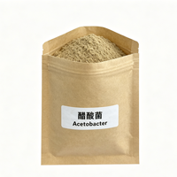 Inoculant pour la fabrication du vinaigre Acetobacter 10 milliards UFC/g, poudre de bactéries acétiques pour l'oxydation de l'alcool et la fermentation acétique, 25 kg