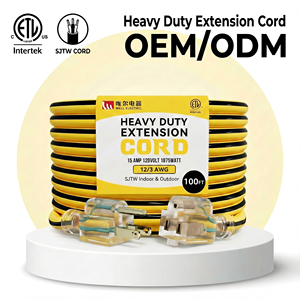 Linsheng ETL-Zertifiziertes OEM ODM Hochleistungs-12/3 AWG SJTW Wasserdichtes 30-Meter-Verlängerungskabel aus Reinem Kupfer - Product Image 1