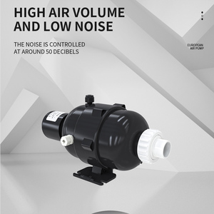 Proway – souffleur d'air pour baignoire de Massage à tourbillon Apw400, pièces de rechange pour <span class=keywords><strong>Spa</strong></span>, souffleur d'air Portable avec chauffage - Product Image 6