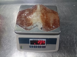 <span class=keywords><strong>ปีก</strong></span><span class=keywords><strong>ปลาหมึก</strong></span><span class=keywords><strong>ยักษ์</strong></span>แช่แข็งคุณภาพสูง <span class=keywords><strong>ปีก</strong></span><span class=keywords><strong>ปลาหมึก</strong></span>อินเดีย ราคาดี - Product Image 5