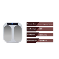 Appareil de massage des pieds à vibration magnétique et thérapie térahertz HP144 OEM ODM pour la détoxification profonde et la circulation sanguine améliorée