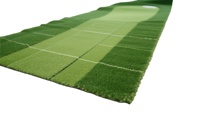 Tapis de golf synthétiques INOLP pour le putting, 12 mm/13 mm/15 mm, 68000 points, gazon artificiel, fabriqué en Chine