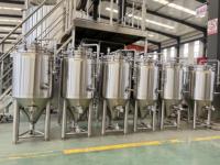 Cuve de Fermentation de Bière 50L-300L en Acier Inoxydable 304 avec Pompe et Moteur Contrôlés par PLC, Équipement de Brasserie Micro à Haute Productivité