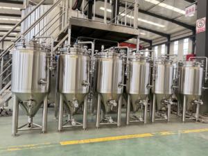 Micro Nhà máy bia bia thiết bị sản xuất bia bia lên men bia nhà bếp keg thép không gỉ 304 để bán 50L 60L 100L 200L 300L 100 kg - Product Image 5