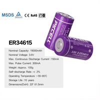 Batterie au lithium de taille D Er34615 3.6v 19000mah pour compteur à gaz