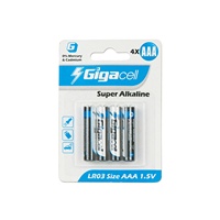 Piles alcalines Triple A, lot de 2 (paquet de 1) avec haute performance longue durée pour télécommande