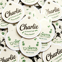 Étiquettes d'identification pour animaux de compagnie Haoxuan Premium, graphismes métalliques en forme de feuille verte et de patte, autocollants vintage en feuille d'argent gaufrée