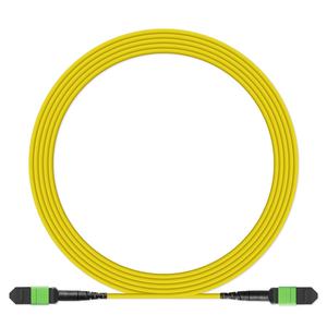 Elite MPO-MPO SM Pria Wanita APC 8 12 core/16core/24 core kabel <span class=keywords><strong>Patch</strong></span> serat optik/jumper B atau polaritas a - Product Image 1