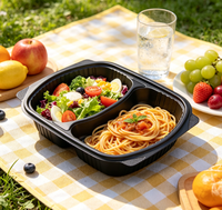 Maßgefertigte Recycelbare PP Flexible Plastik-Mikrowellengeeignete Lunchbox mit Transparentem Deckel für Sandwich, Pizza & Salat