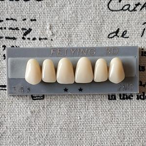 Dientes de Resina Acrílica Dental de Alta Calidad, Superiores e Inferiores, Anteriores y Posteriores - Product Image 6