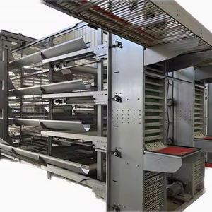 Automatische Batterij Laag Kippenkooi Apparatuur Voor Pluimveebedrijf Voor Kippen Duiven Vogels Verkoop Eierlaag Kippenhok - Product Image 6