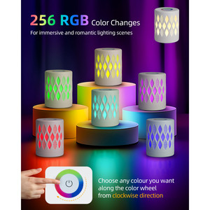 Aigostar RGB lampada da comodino bianca calda 256 colori dimmerabile Touch telecomando alla moda 5V luce notturna lampada da tavolo per bambini - Product Image 3