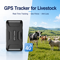 Traceur GPS intelligent 4G pour bétail, IP67, autonomie de 1 an, surveillance des vaches laitières, prend en charge le positionnement des animaux en temps réel par GPS+WiFi+LBS