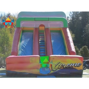 <span class=keywords><strong>2025</strong></span> yeni stil ticari PVC özelleştirilmiş şişme kale Bouncy çift slayt şişme kuru kaydırak ile çocuklar ve yetişkin için kullanılan - Product Image 2