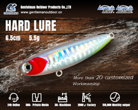 Señuelo de Pesca MISTER LURE 5.5g 11g para Lubina y Trucha, Señuelo Duro Tipo Lápiz con Anzuelo, Color Personalizado