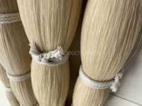 2026 Extensions de cheveux 100% crin de cheval, double tirage, 50 cm, cheveux de poney
