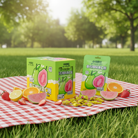 Bonbons en tablette personnalisés sans sucre, saveur menthe fruitée et goyave, emballage portable de haute qualité, usine chinoise