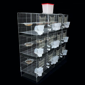 <span class=keywords><strong>Cage</strong></span> à 6 couches pour <span class=keywords><strong>cage</strong></span> de caille commerciale de grande capacité - Product Image 1