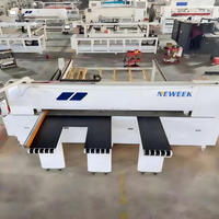 Perangkat Lunak Optimalisasi Opsional NEWEEK Gergaji Panel Sarang Lebah Aluminium 2800mm Gergaji Balok CNC Otomatis Presisi Tinggi