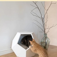 OEM/ODM Maison pour chat en bois disponible Mobilier géométrique pour animaux de compagnie Grotte pour chat dodécaèdre