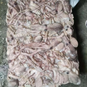 Buen <span class=keywords><strong>precio</strong></span> en <span class=keywords><strong>pulpo</strong></span> de pierna larga <span class=keywords><strong>congelado</strong></span> de origen chino - Product Image 1