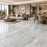Carreaux de sol en porcelaine 60x60, 1200x1200, 600x600, gris clair veiné marbre, brillant, en grès cérame pour salon
