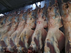 Thịt đường ray hệ thống de một viande <span class=keywords><strong>boucherie</strong></span> - Product Image 2