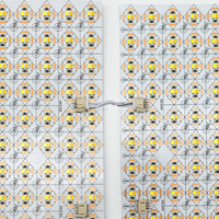 Lampu LED Lembaran Raymates Dual-White 30W 2700K+6500K Dapat Diredupkan dengan Remote Control, Bersertifikasi 50x25cm IP20 CRI 80/90 24V