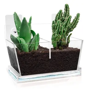 Acrylic Window Plant Pot Suction Cup Window Planter Garden Perfect for Small Plants, Herbs & Succulents