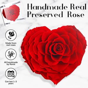 Nuove idee di prodotto 2024 per sempre flure in acrilico scatola fiorista forniture Fiori Stabilizzati rosso vero naturale conservato rose Fiori - Product Image 2