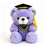 Ours en peluche de graduation avec toque de diplômé, ours en peluche multicolore, cadeau souvenir de graduation, peluche personnalisée OEM ODM