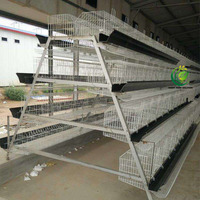 Équipement d'élevage de poules pondeuses avec cages à poules post-galvanisation à chaud, durée de vie de 20 ans, pour projets de 5000 à 20000 poules pondeuses