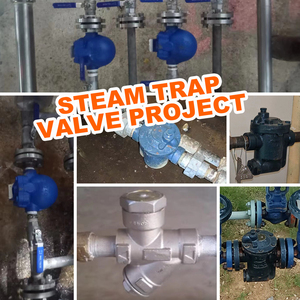 صمام كروي ذو ذراع مسنن من الفولاذ الكربوني بسن NPT مع مصيدة بخار حرارية للبخار - Product Image 3