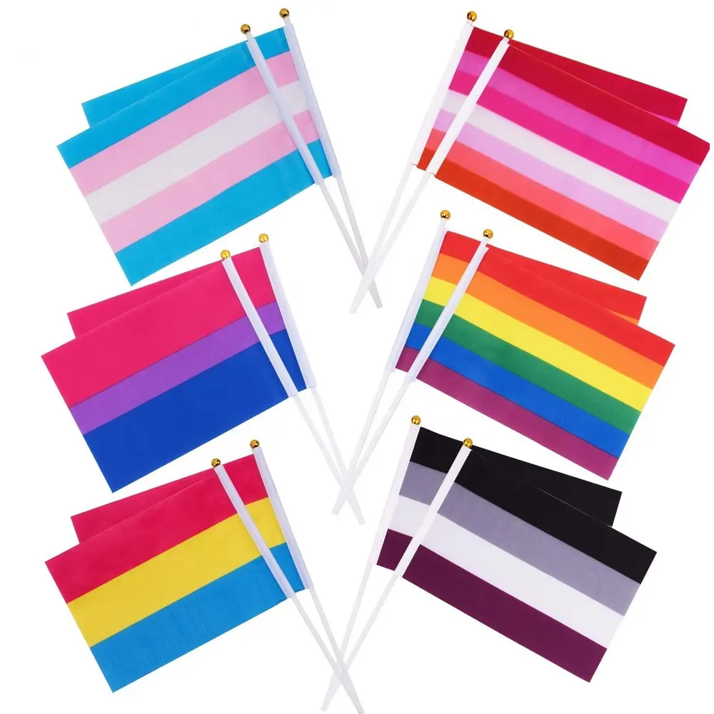 50 खरीदारों इंद्रधनुष छोटे आकार हिला झंडा 100% पॉलिएस्टर LGBT समलैंगिक ट्रांसजेंडर उभयलिंगी समलैंगिक गर्व हाथ पकड़ा लहराते ध्वज