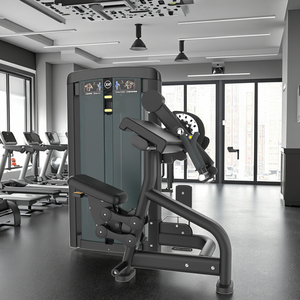 Attrezzo per Bicipiti e Tricipiti, Vendita Diretta dalla Fabbrica, Garanzia di Qualità, Produzione di Alta Qualità, Molteplici Attrezzature Disponibili - Product Image 2