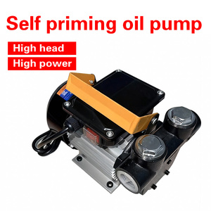 <span class=keywords><strong>Pompe</strong></span> de transfert de carburant portable <span class=keywords><strong>220V</strong></span> AC, <span class=keywords><strong>auto</strong></span>-<span class=keywords><strong>amorçante</strong></span>, basse pression, en fer, OEM 60L/min 550W pour kérosène - Product Image 3