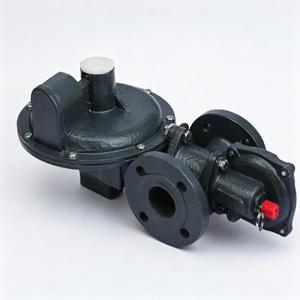 RTZ-25 (L) / 0.4FQ型ガス圧力調整器 LPG、ヘリウム、プロパン、アルゴン、天然ガス用 金属製 1年保証 - Product Image 4