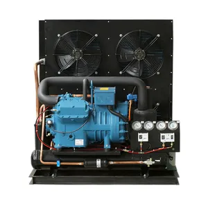 Unité de condensation refroidie par air 10HP avec compresseur à deux étages Franscold 2V10-42.29Y 3W001056 pour chambre froide