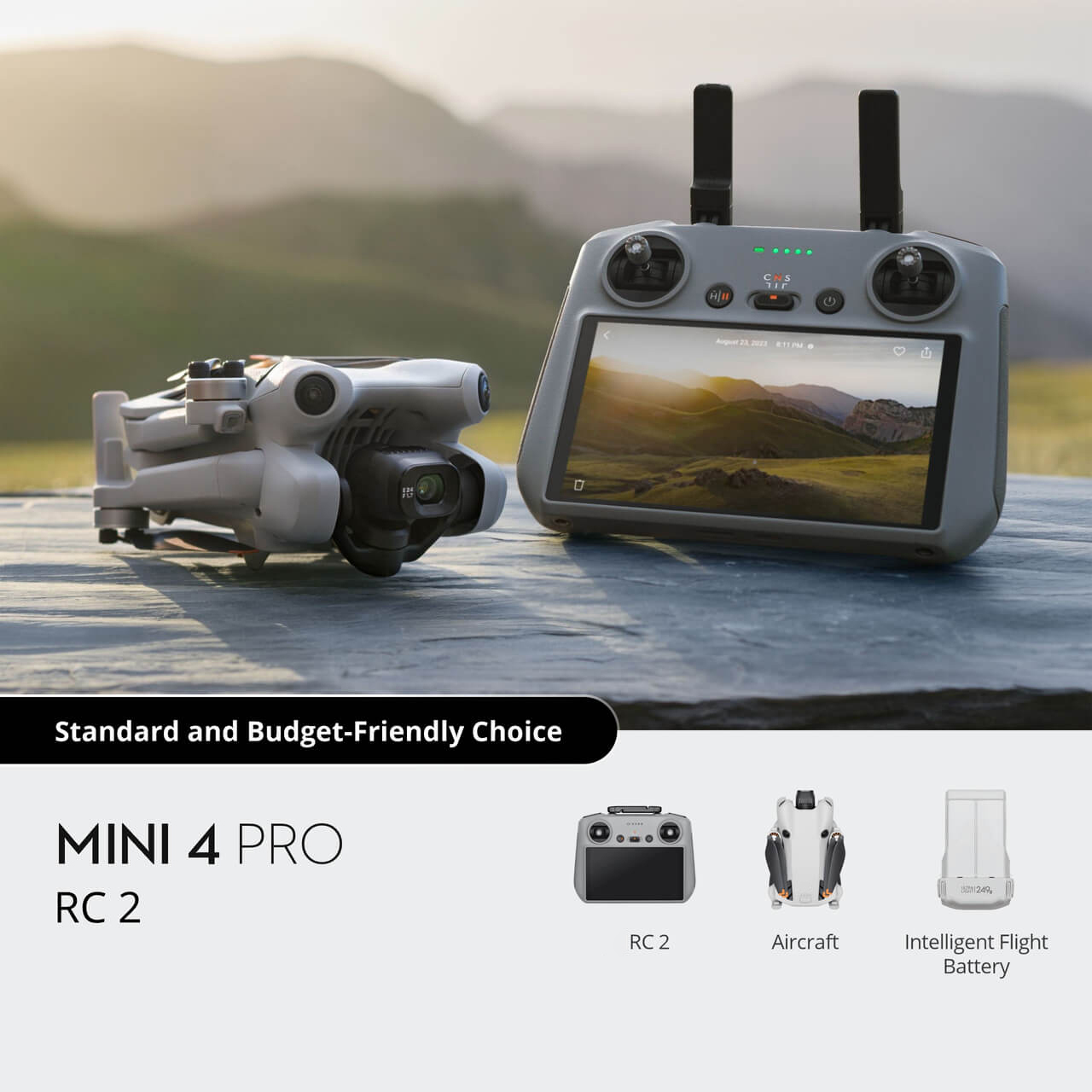 Gris-Mini 4 Pro RC 2