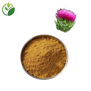 Ekstrak Biji <span class=keywords><strong>Milk</strong></span> <span class=keywords><strong>Thistle</strong></span> Organik Grade Makanan, Silymarin 80%, Bubuk Ekstrak <span class=keywords><strong>Milk</strong></span> <span class=keywords><strong>Thistle</strong></span>, Ekstrak <span class=keywords><strong>Milk</strong></span> <span class=keywords><strong>Thistle</strong></span> Silymarin - Product Image 1