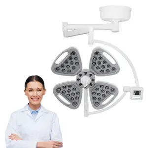 LED 700/500 Surgical Room Veterinary Operating Light Shadowless Operating Lamp for Medical Equipment