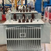 Transformateur d'huile triphasé S11 haute sécurité 700 kVA à bobine en aluminium pour parc logistique, longue durée de vie, vente en gros directe usine